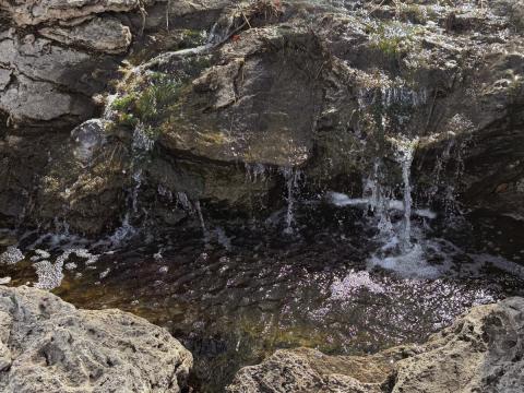 Rock Creek field day at Borger; License purchases to require proof of residence