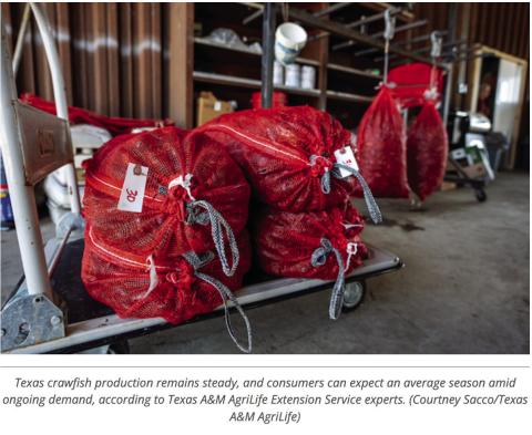 Crop and weather report: Texas crawfish outlook strong despite early harvest delays
