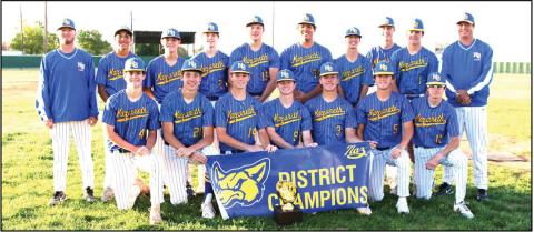Swifts swing into baseball playoffs