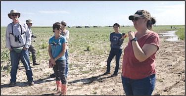 Playa field day set for  Sept. 28 in Anton