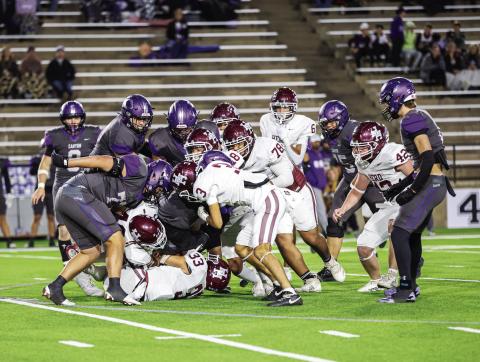 HERD IN ACTION