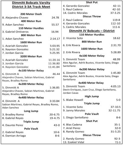 Dimmitt track advances to Area