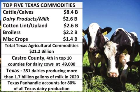 Castro County in Top 10 for