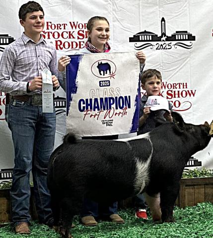 Naz FFA Copper Farris placed 10th at the Ft. Worth Livestock Show with his cross barrow and was the highest placed Texas bred barrow in the class.