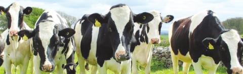 Covid aid directed to ag sector