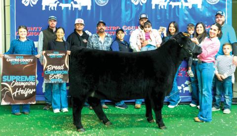 The Castro County and Nazareth stock shows are done with great exhibitors and livestock ready for to head for the majors. This year’s Castro County Supreme Heifer was shown by Kaylin Acker, and the Grand Champion Steer shown by Harper Johnson, both members of Nazareth FFA. See stock show results in the Livestock Special Section.