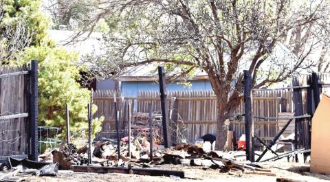 Fire scorches fence