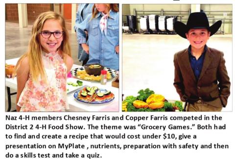 Castro 4-H competes