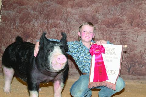 San Angelo Stockshow Results Holden Dunn Reserve Breed Champion Berkshire