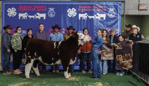 Harper Johnson is pictured with her Grand Champion Market Steer at this year’s Castro County Junior Livestock Show.