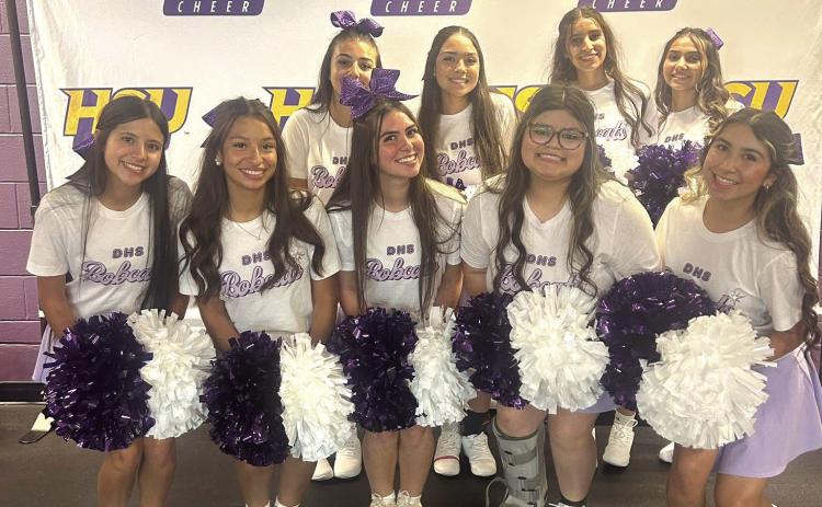 DHS CHEER CAMP
