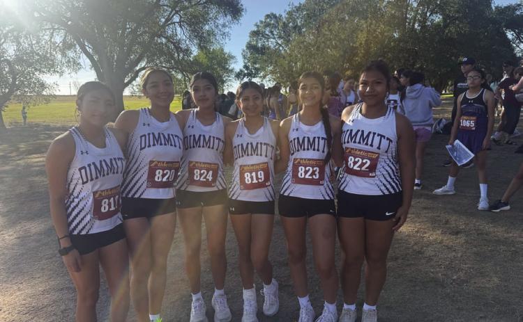 Dimmitt Cross Country Results