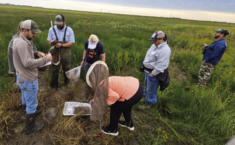 NATURALIST SURPRISES--No telling what participants of the annual Nazareth German Fest Playa Tour might find in the playa at the Ogallala Commons Playa Classroom south of Nazareth on July 11 from 9 to 11:30 a.m. The tour always includes in time to partake of the German Sausage Dinner at the Nazareth Community Hall.