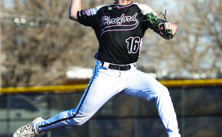 HERD BASEBALL
