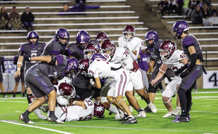 HERD IN ACTION