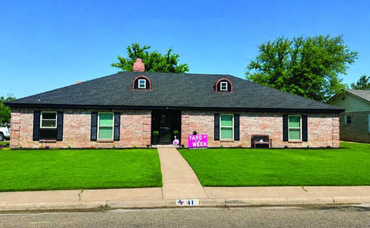 Yard of the week – 41 Travis Road