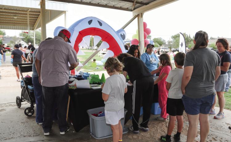 Annual Shark in the Park held